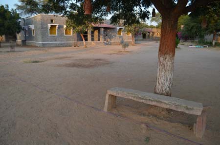 Tree and bench which become school logo