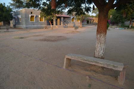 Tree and bench which become school logo